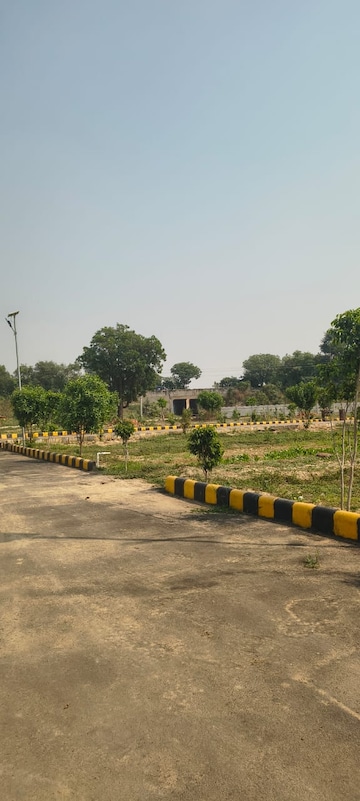 Plot Area in  Plot at Tappal – for Sale