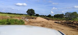 Plot Area in  Plot at Myspace BPR County, Adibatla – for Sale