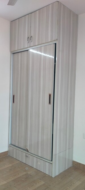 2 BHK Apartment For Rent in Tulip Lemon, Sector 69