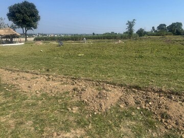 Plot Area in  Plot at Shimla Bypass Road – for Sale