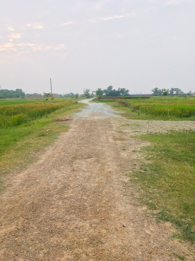 undefined, ramnagar  1054 Sq.Ft. Plot In Ramnagar Varanasi 9376475