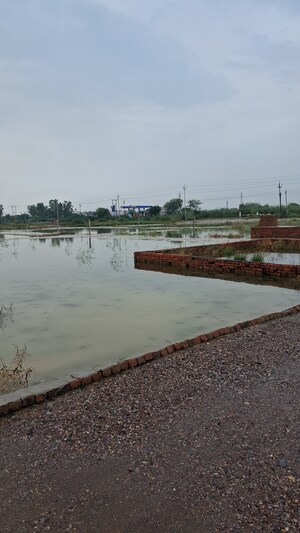  Plot – Exterior View View at Silani Chowk - for Sale