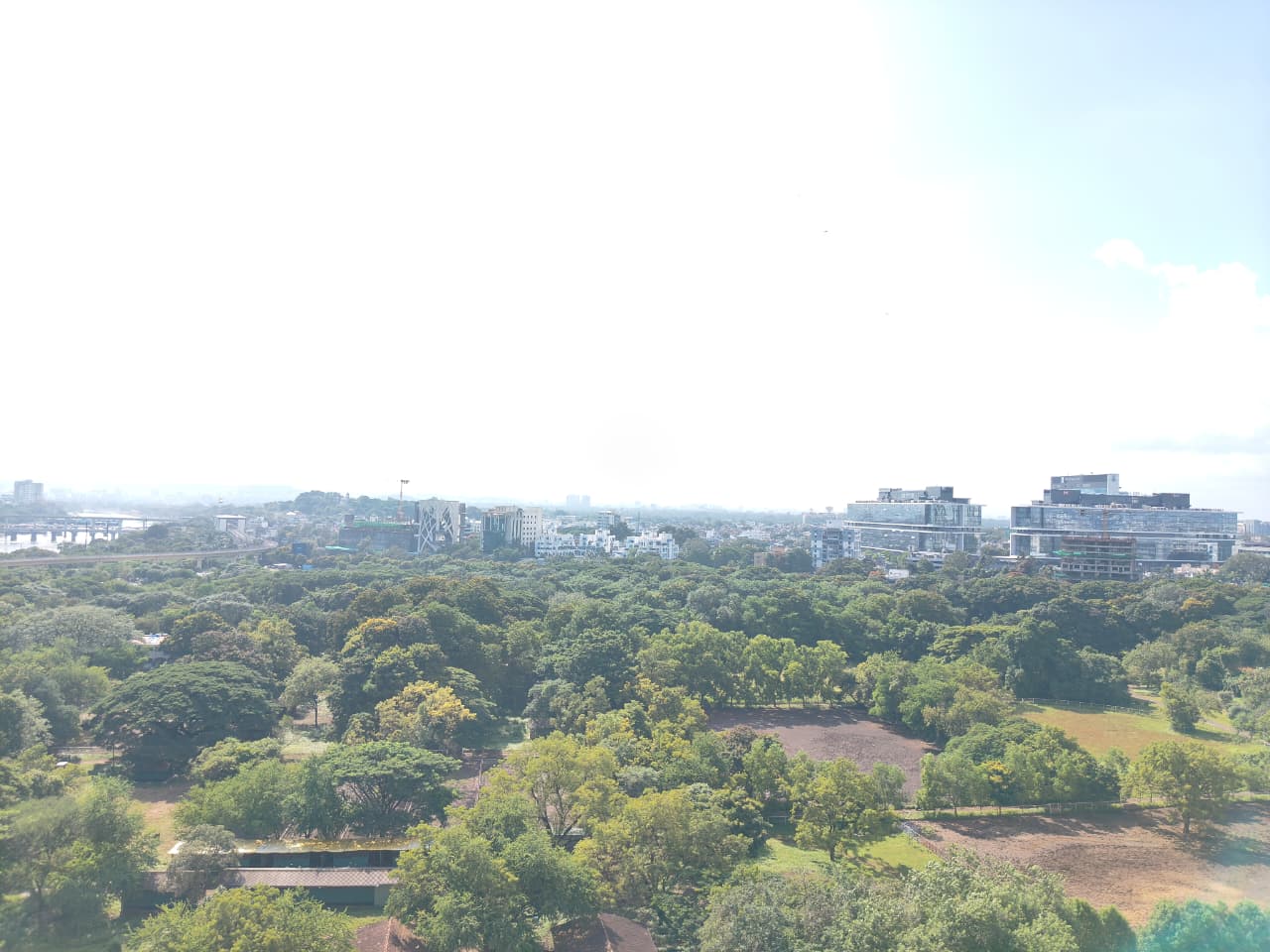 3.5 BHK Apartment For Sale in Sagitarius Bluegrass Residences