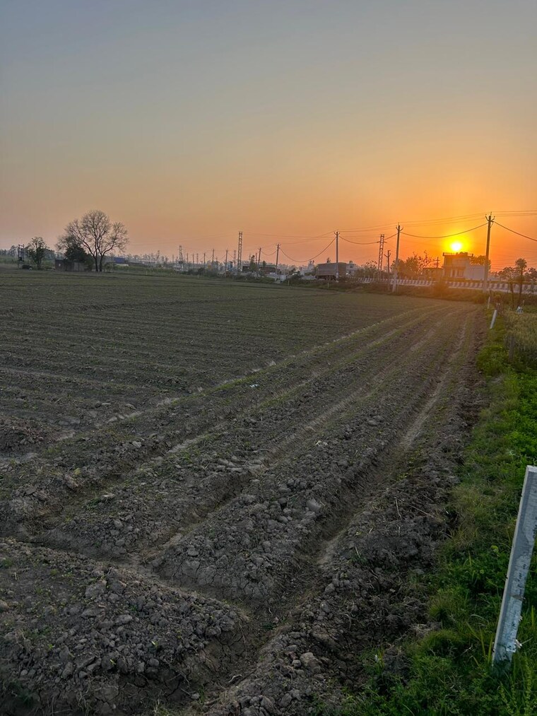 undefined, shahabad markanda Commercial Land 13 Acre In Shahabad Markanda Kurukshetra 9376230