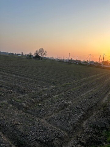 Land For Sale in Shahabad Markanda