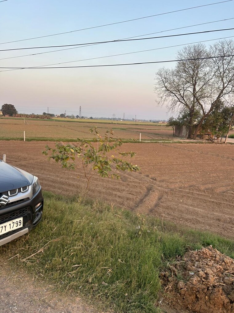 undefined, shahabad markanda Commercial Land 13 Acre In Shahabad Markanda Kurukshetra 9376230