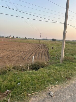 Plot Area in  Land at Shahabad Markanda – for Sale