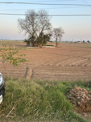 Plot Area in  Land at Shahabad Markanda – for Sale