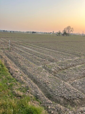 Plot Area in  Land at Shahabad Markanda – for Sale