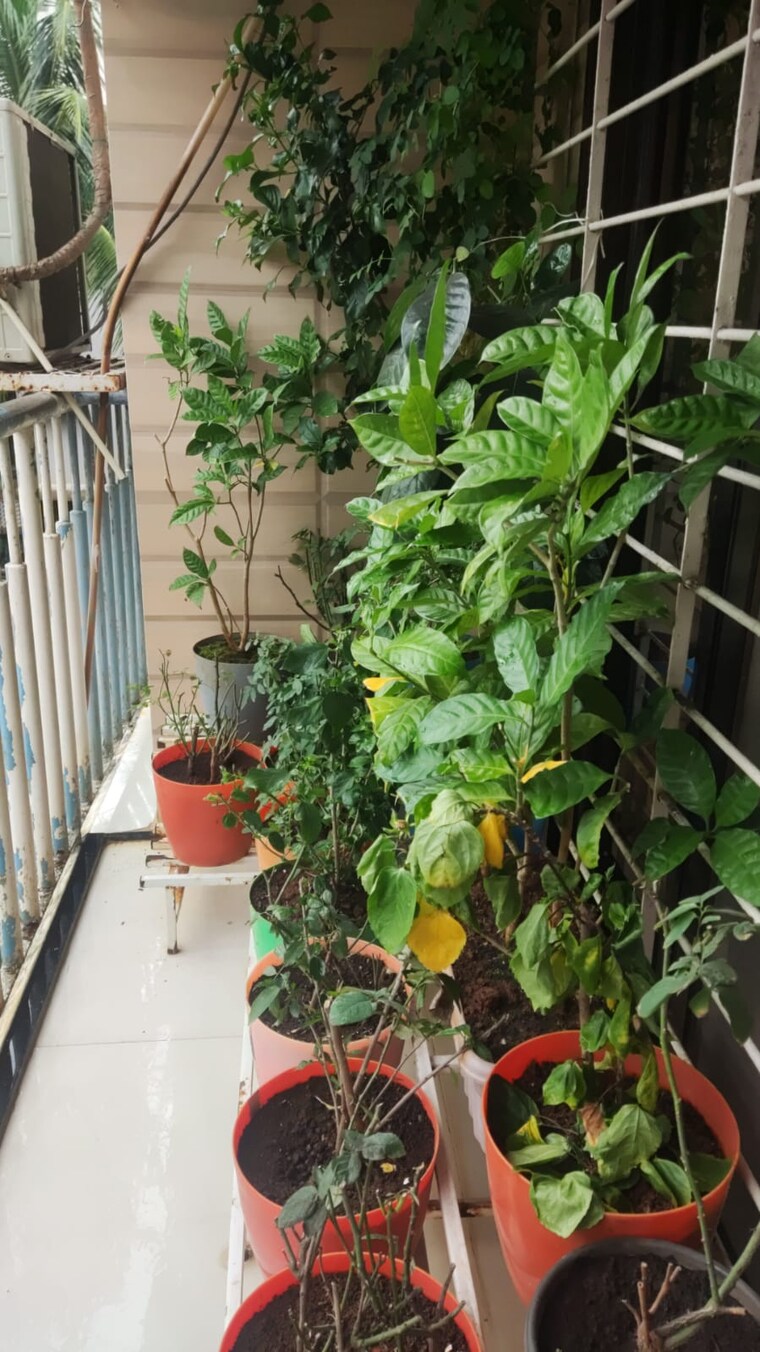 Balcony, shanti-gardens 2 Bedroom 600 Sq.Ft. Apartment In Mira Road Thane 9376539