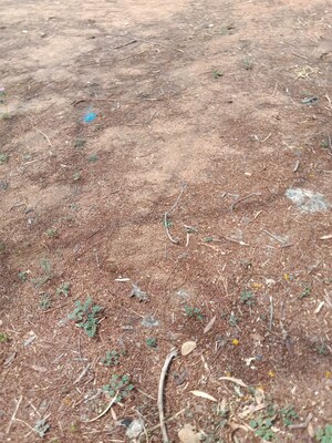 Plot Area in  Plot at Boduppal – for Sale