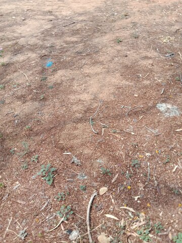 Plot Area in  Plot at Boduppal – for Sale