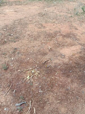 Plot Area in  Plot at Boduppal – for Sale