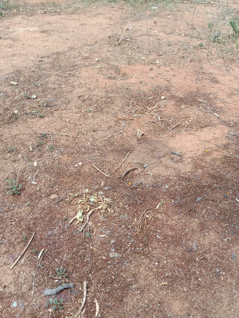 undefined, boduppal  165 Sq.Yd. Plot In Boduppal Hyderabad 9376569