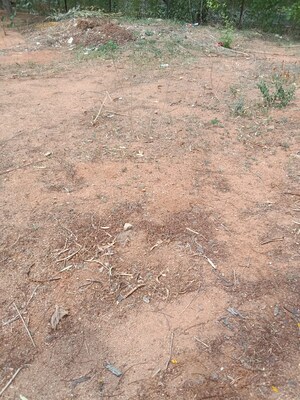 Plot Area in  Plot at Boduppal – for Sale