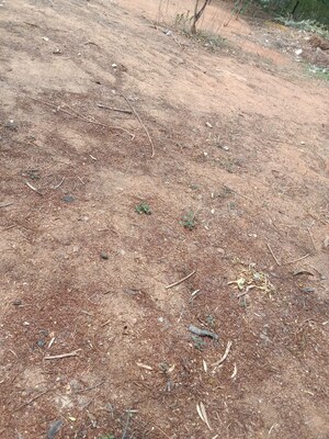 Plot Area in  Plot at Boduppal – for Sale