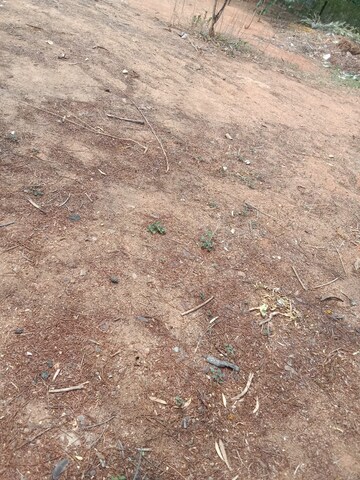 Plot Area in  Plot at Boduppal – for Sale