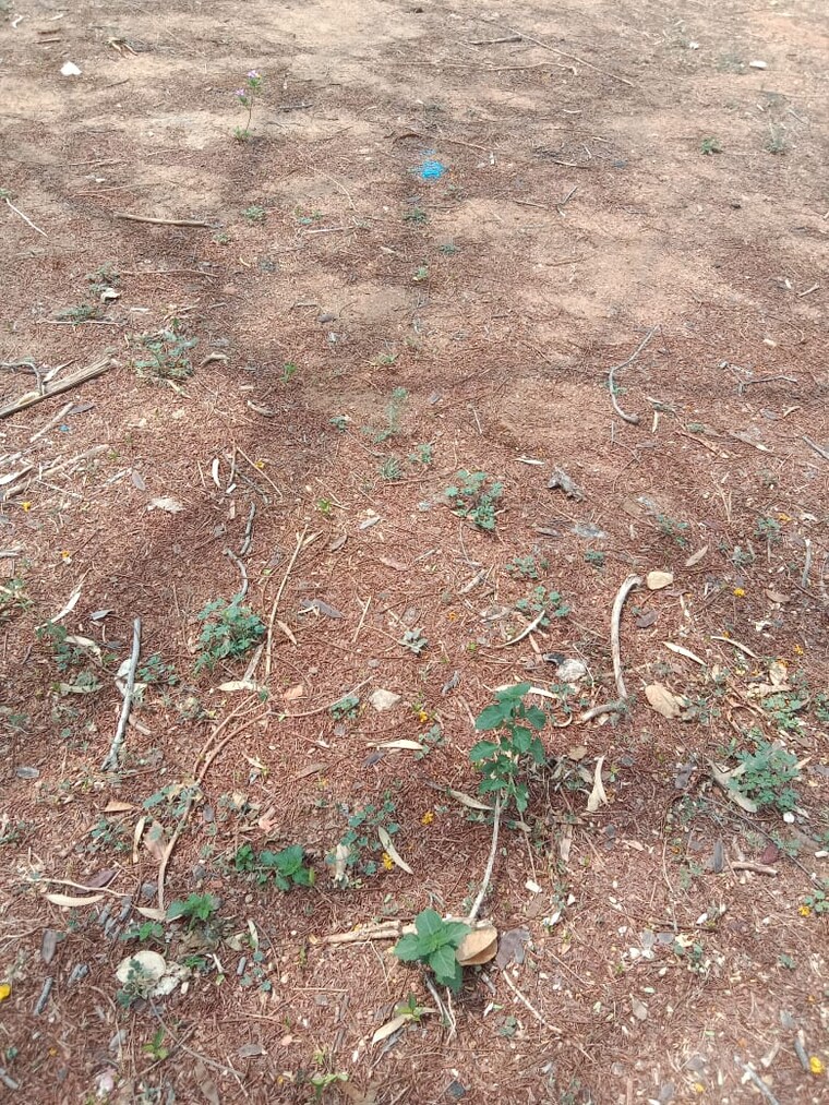 undefined, boduppal  165 Sq.Yd. Plot In Boduppal Hyderabad 9376569