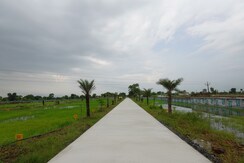 Plot For Sale in Balaji Greenz