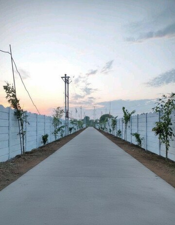  Plot – Exterior View View at Barela Road - for Sale