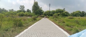 Plot Area in  Plot at Panagar – for Sale