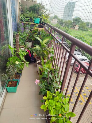 1 BHK Apartment For Rent in AVL 36 Gurgaon, Sector 36