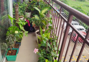 1 BHK Apartment For Rent in AVL 36 Gurgaon, Sector 36