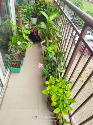 Balcony in 1 BHK Apartment at AVL 36 Gurgaon, Sector 36 – for Rent