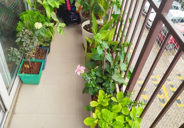 Balcony in 1 BHK Apartment at AVL 36 Gurgaon, Sector 36 – for Rent