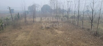 Plot Area in  Plot at New Moradabad – for Sale