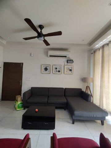 Team Area in 2.5 BHK Villa at RWA Apartments Sector 29, Sector 29 – for Rent