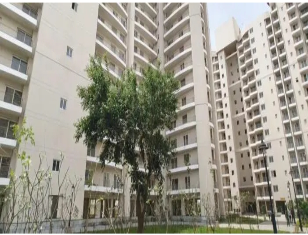 2 BHK Apartment For Sale in BPTP Discovery Park