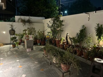 1.5 BHK Villa – Exterior View View at RWA Apartments, Sector 31 - for Rent