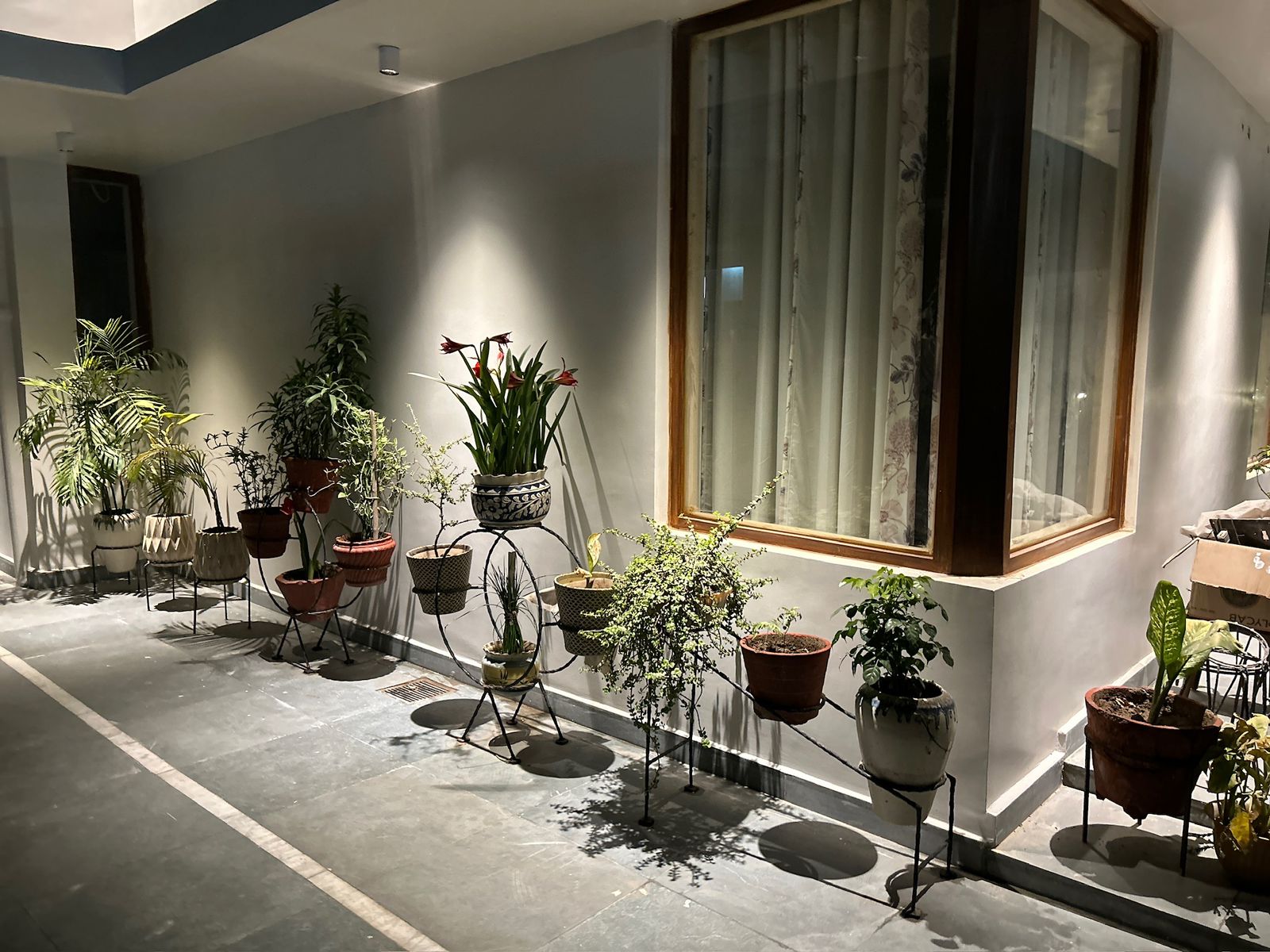 1.5 BHK + Servant Room Villa For Rent in RWA Apartments