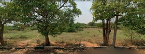  Plot For Sale in Edulabad