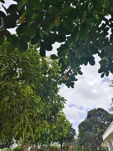 2 BHK Apartment For Rent in Honer Aquantis, Gopanpally