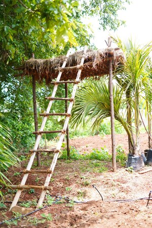  Plot For Sale in Shankarpalli