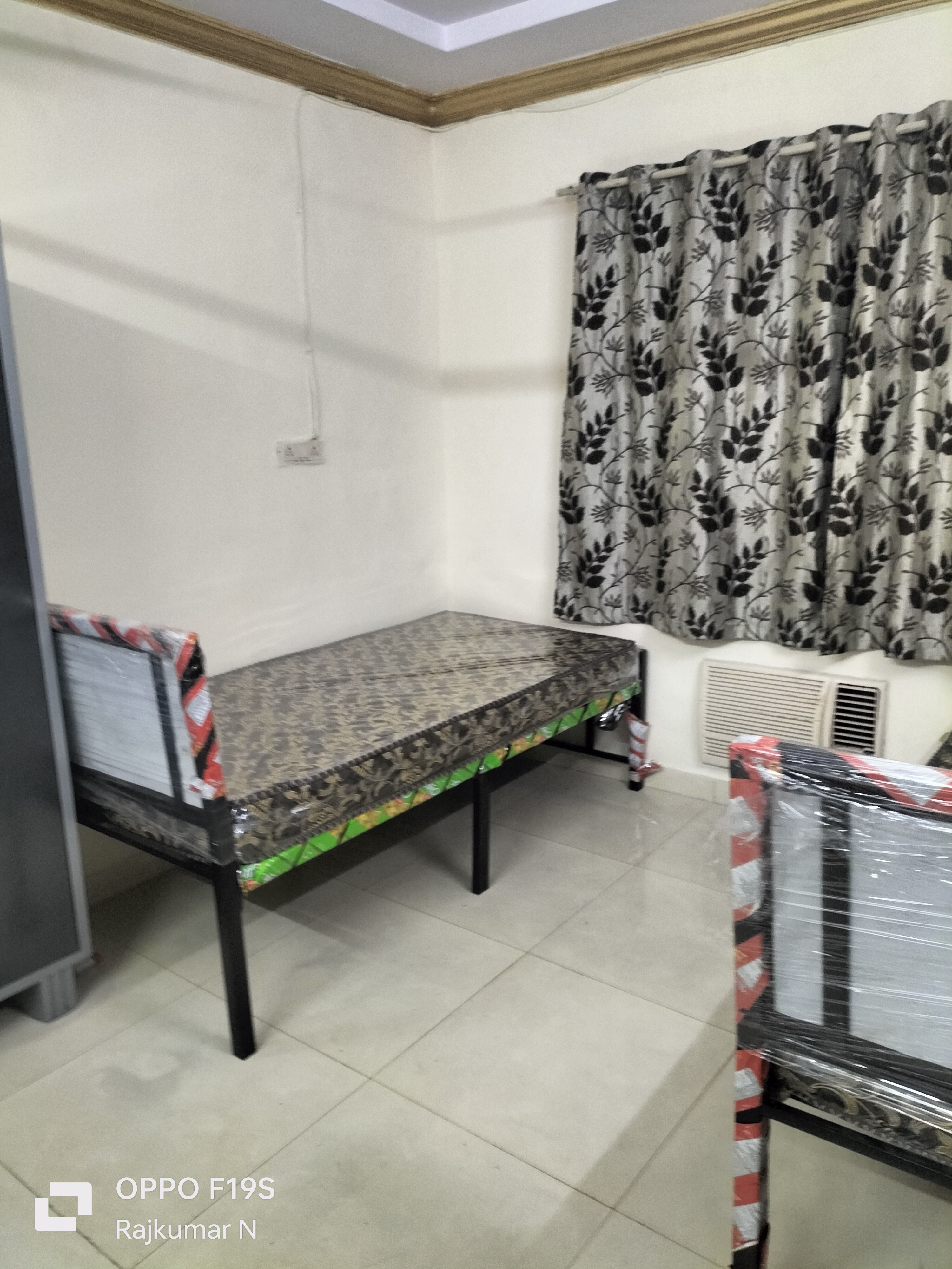 Pg For Rent in Prashant Apartment 