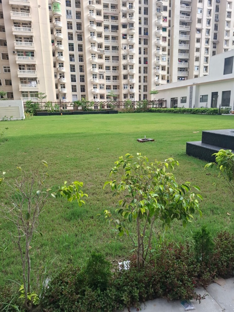 Garden, sector 74 3 Bedroom 1375 Sq.Ft. Apartment In Sector 74 Noida 9377148