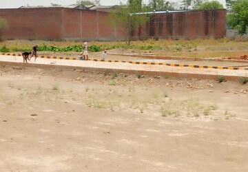 Plot Area in  Plot at Sector 26 – for Sale