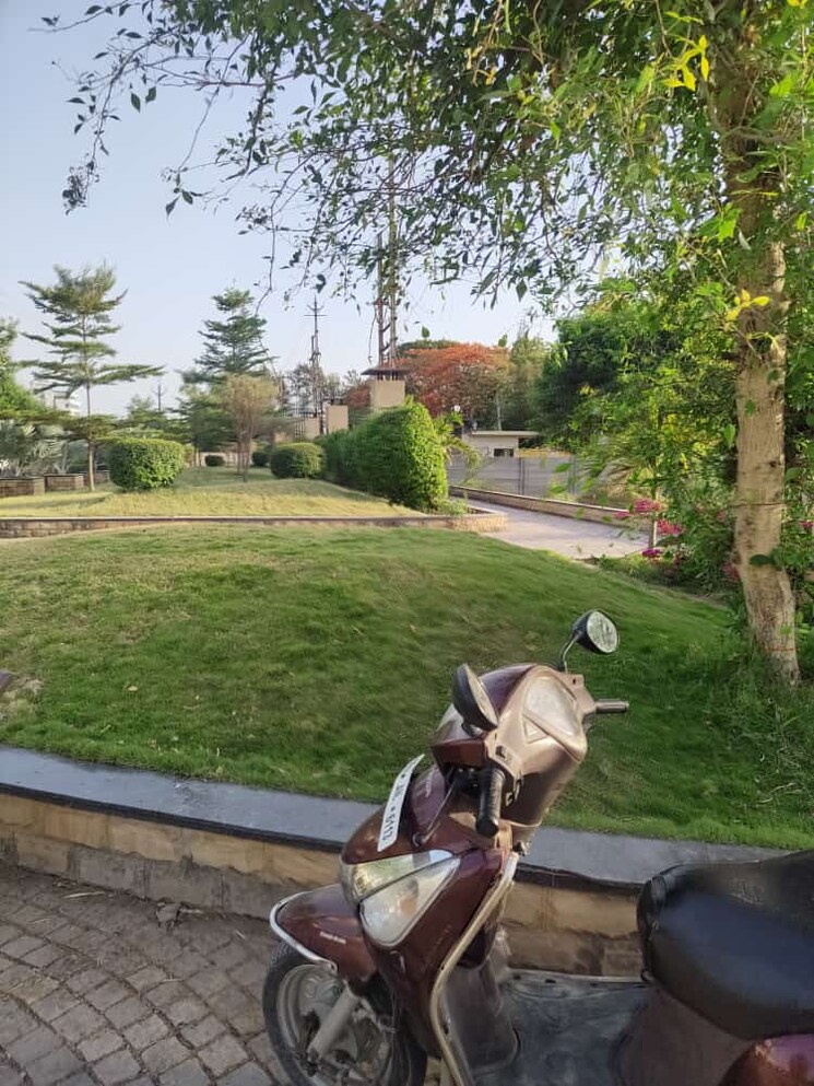 Exterior View, bhawrasla  1000 Sq.Yd. Plot In Bhawrasla Indore 9378103