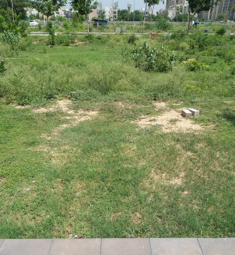 undefined, sector 80  265 Sq.Yd. Plot In Sector 80 Faridabad 9378238