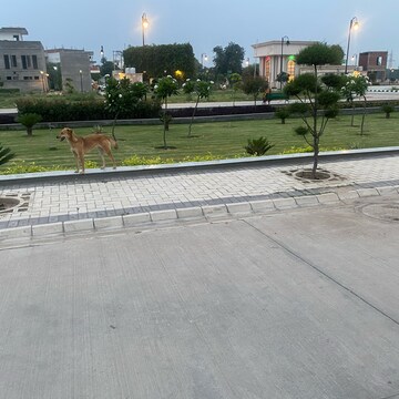  Plot For Sale in Sector 28