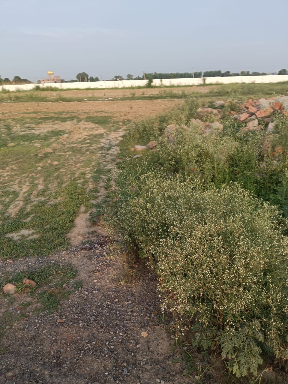 Plot For Sale in Luckhnow, Banthra