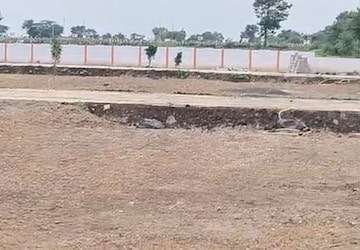 Plot Area in  Land at Sector 31 – for Rent