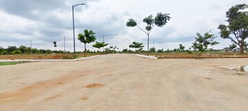 Plot Area in  Plot at Sector 84 – for Sale