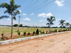  Land For Rent in Sector 37