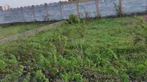 Plot Area in  Land at Chovisawadi – for Rent