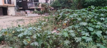 Laxmi Homes