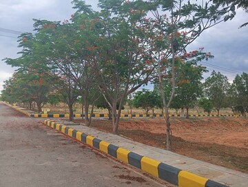  Plot – Exterior View View at CBC Cosmopolis, Mirkhanpet - for Sale